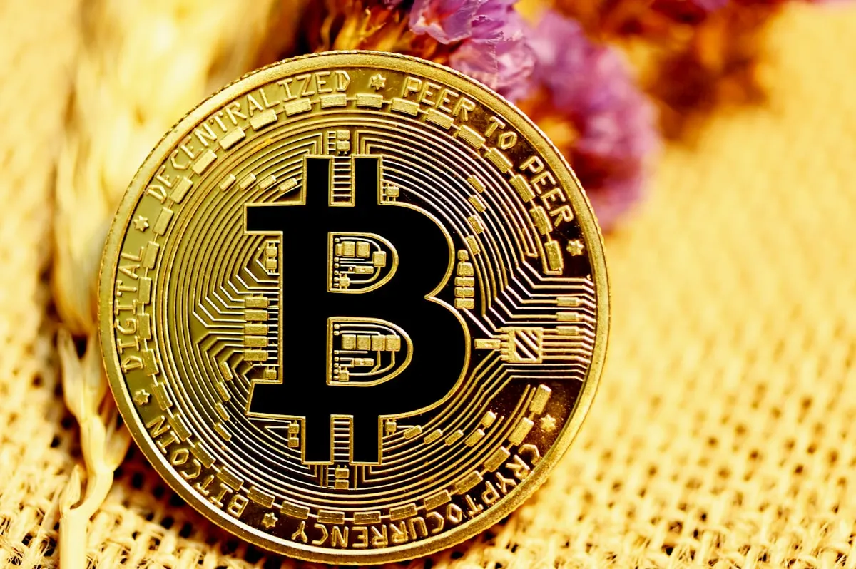 Cryptocurrency Bitcoin Ethereum visualizer